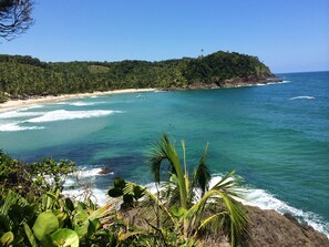 Nära stranden och parasoller