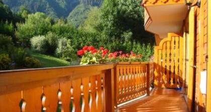 Apartment 100 mt from the center, excellent view of Mont Blanc glaciers