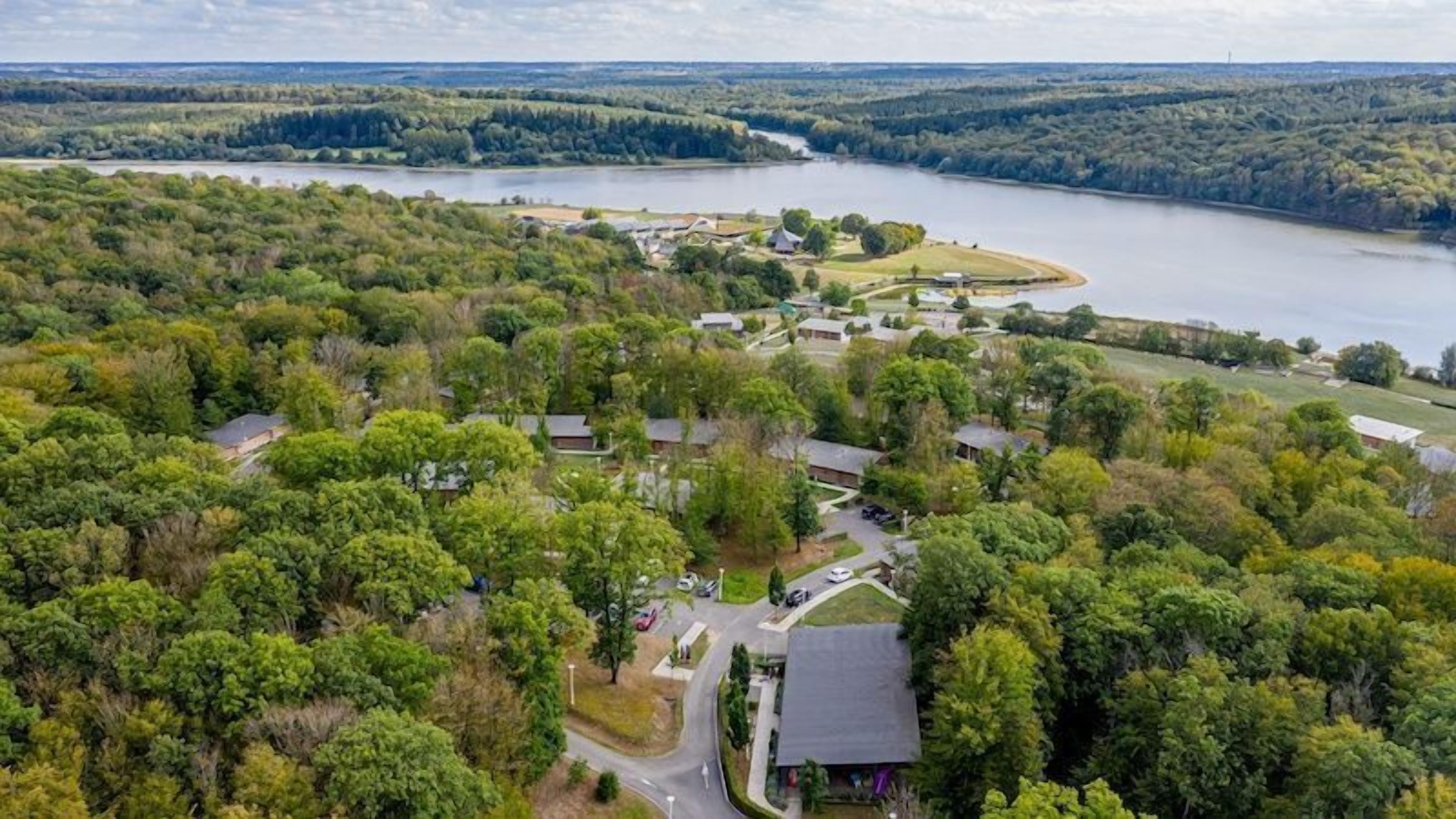Vista aérea de una zona residencial con casas, un lago y bosque circundante.