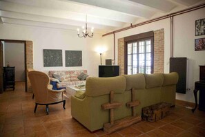 TV connectée, cheminée, livres