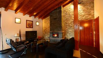 Una Smart TV, una chimenea, un reproductor de DVD, libros