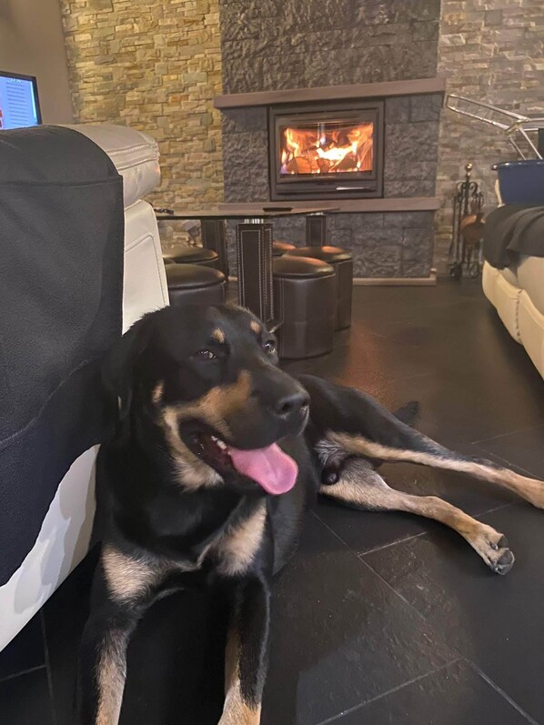 A dog lying on a black leather couch in a room with a stone wall and a fireplace.