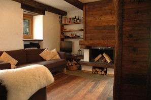 TV, fireplace, books