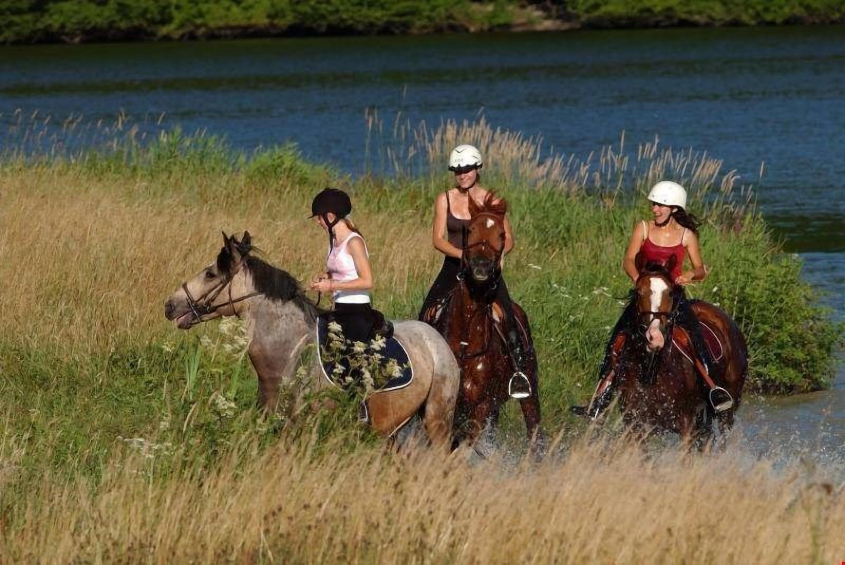 Three people riding horses along a riverbank.