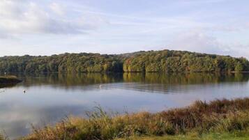 Ein ruhiger See mit einem bewaldeten Hügel im Hintergrund.