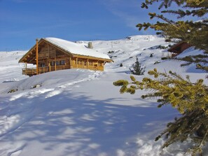 Exterior - Chalet avec cheminée | Accès direct aux pistes ! (Huez)