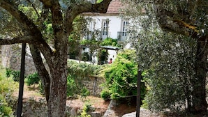 A stone house with a white facade, surrounded by olive trees and greenery. - Quinta do Loureiro  Douro  Baião  Private  Pool  Stunning Views  Full privacy . (Santa Leocádia)