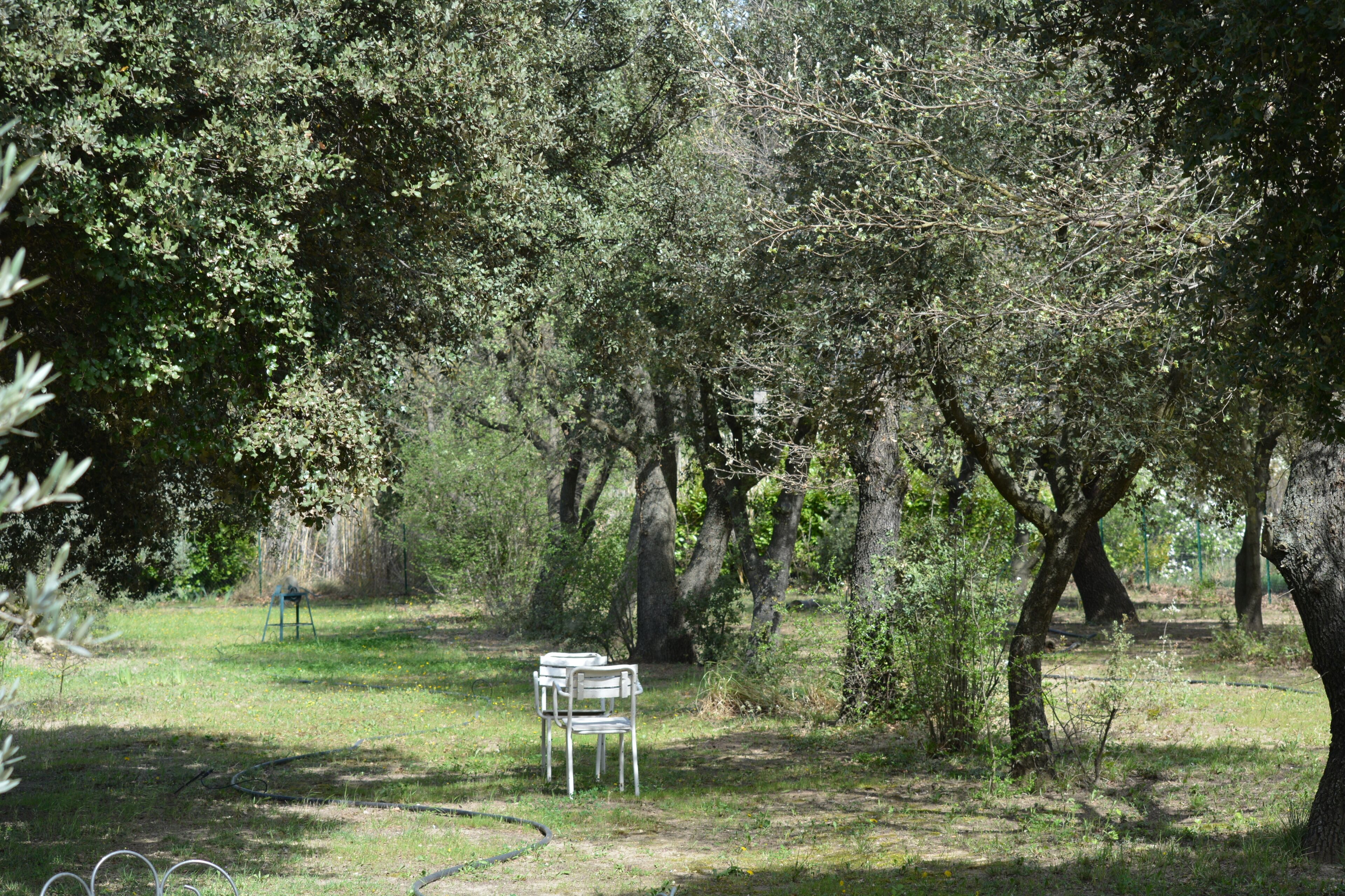 A park with a white bench and a swing set.