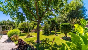 Un jardín bien cuidado con diversas plantas y un sendero de piedra.