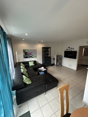 Smart TV, fireplace, DVD player, books