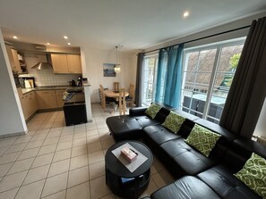 Smart-tv, eldstad, dvd-spelare och böcker