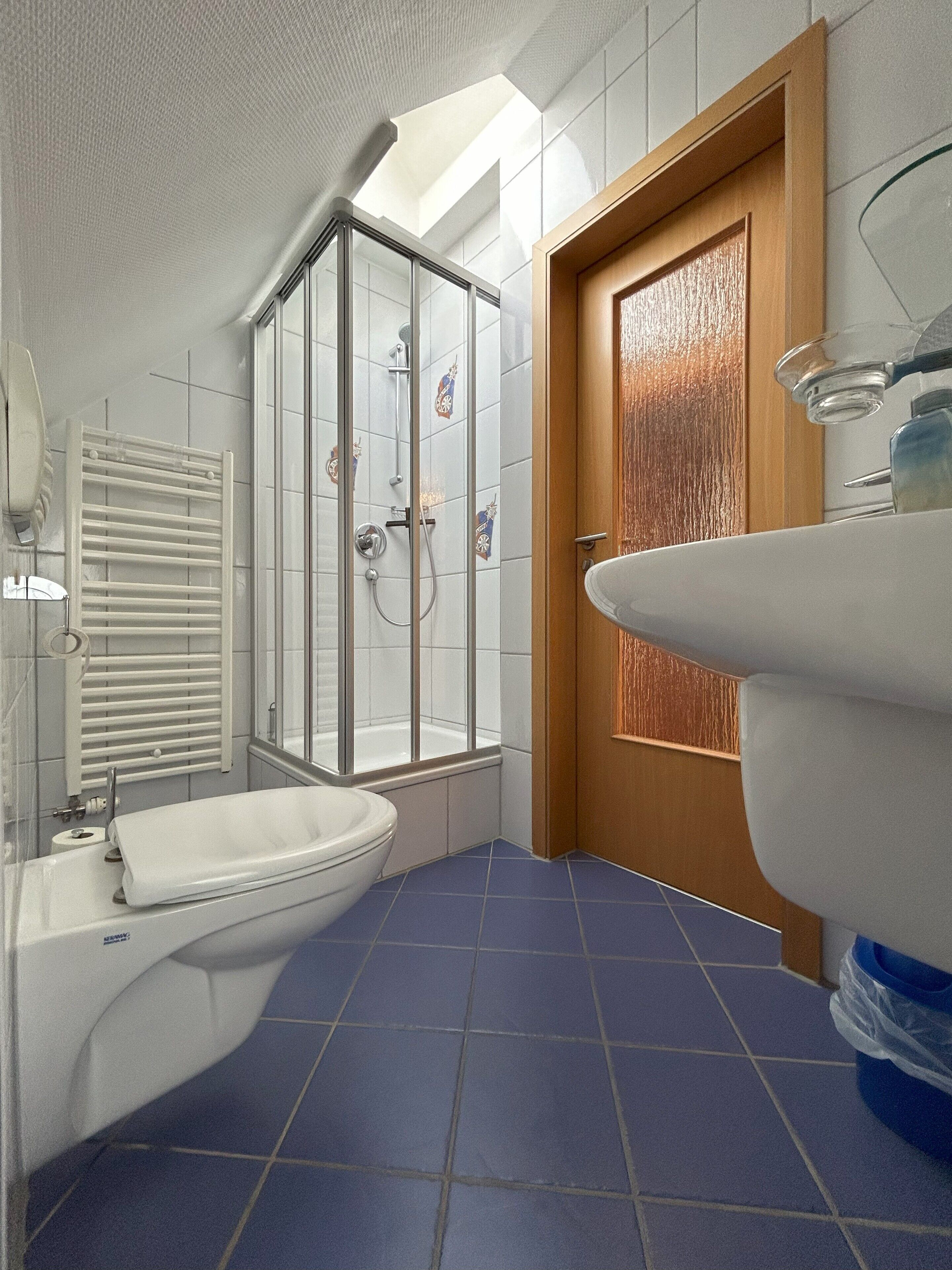 Shower, eco-friendly toiletries, hair dryer, soap