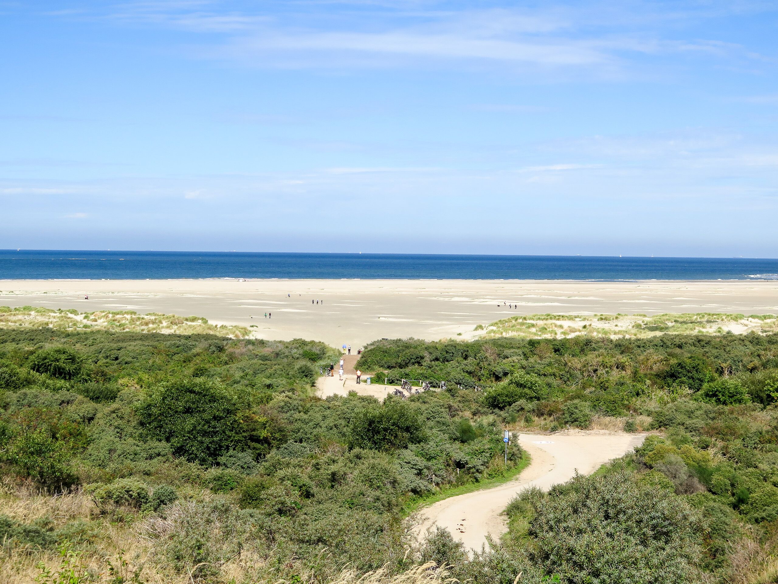 Un paysage côtier avec une plage de sable, une végétation luxuriante et un ciel dégagé.