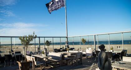NEW: 400m² garden, sauna, Zeeland (Renesse), sea, North Sea dog WiFi