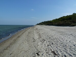 Nära stranden
