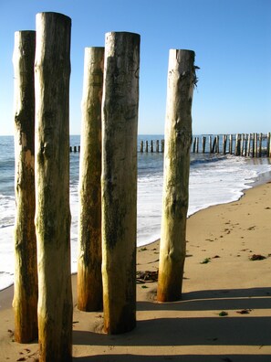 بالقرب من الشاطئ