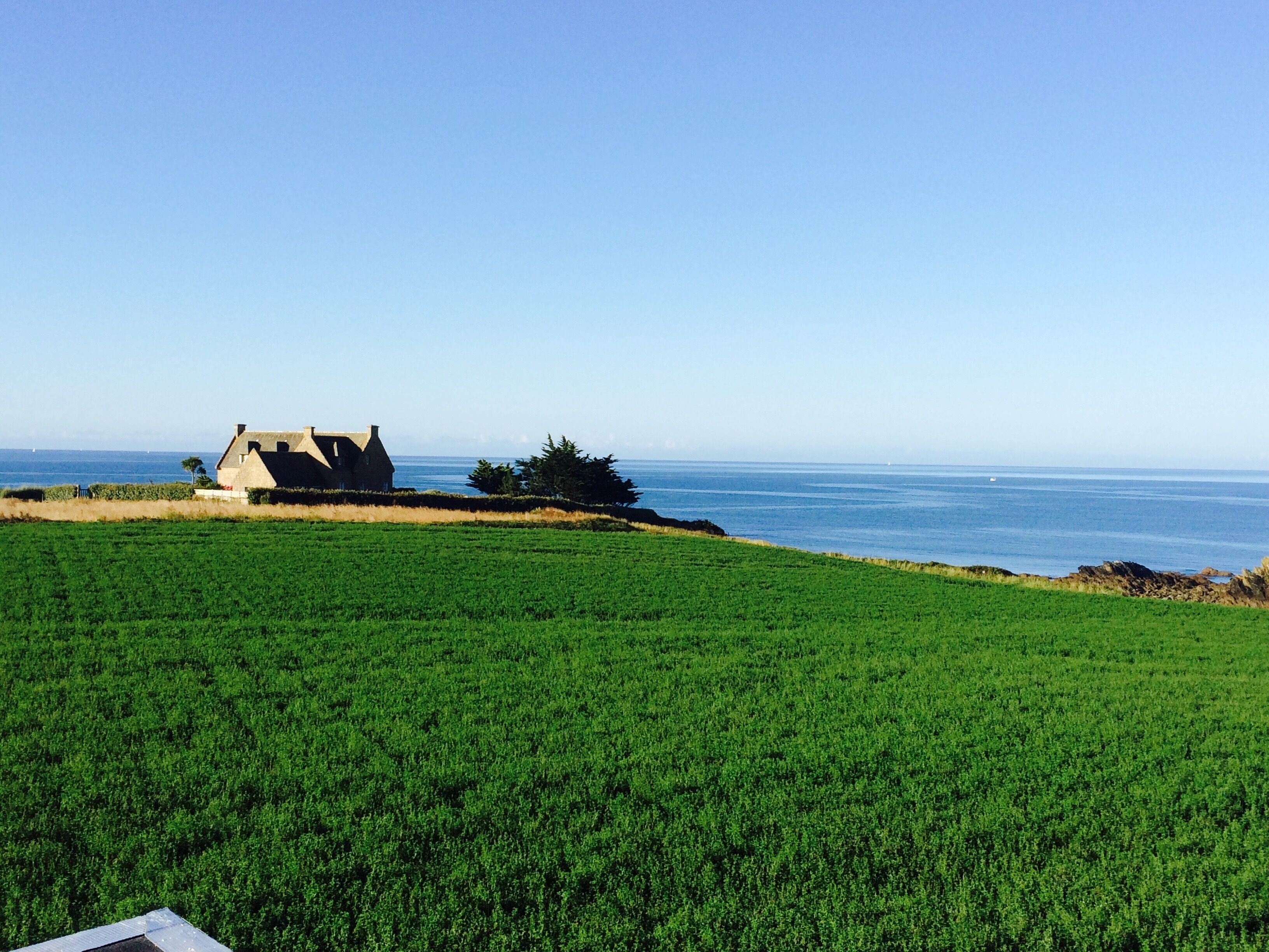 A coastal landscape with a house on a grassy field and the sea in the background.