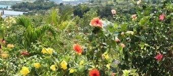 Superb Owner's Villa in Le Robert 240m2