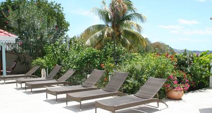 Superb Owner's Villa in Le Robert 240m2