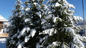 A snow-covered evergreen tree in a snowy landscape. - 538 sq ft chalet for 4 persons in Saint Gervais Mont-Blanc (Saint-Gervais-Les-Bains)