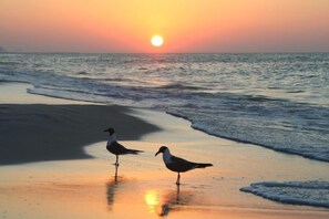 On the beach