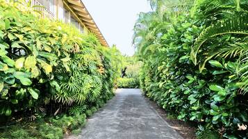 Terrein van de accommodatie