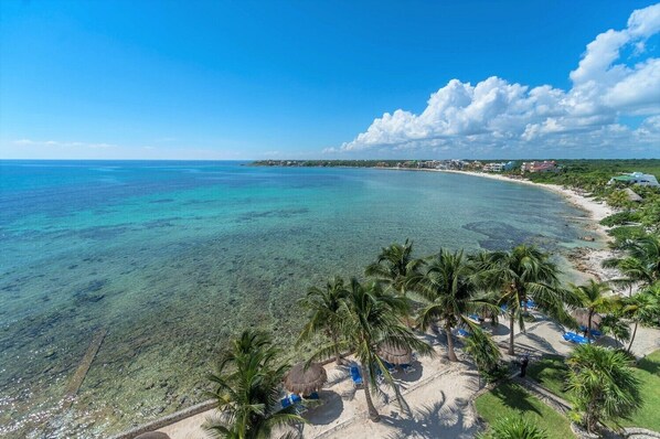 A beach with clear turquoise water, palm trees, and a few buildings in the background.