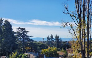 A residential area with houses, trees, and a clear sky.
