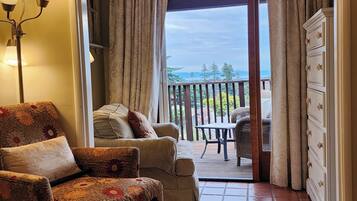 Flat-screen TV, fireplace, DVD player, books
