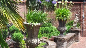 A garden with potted plants and a brick wall. -  Jones St Hist Dist Gem 1853- 3KgBd/3Ba exquisite courtyard- 50 %offSun -ThurNts (Savannah)