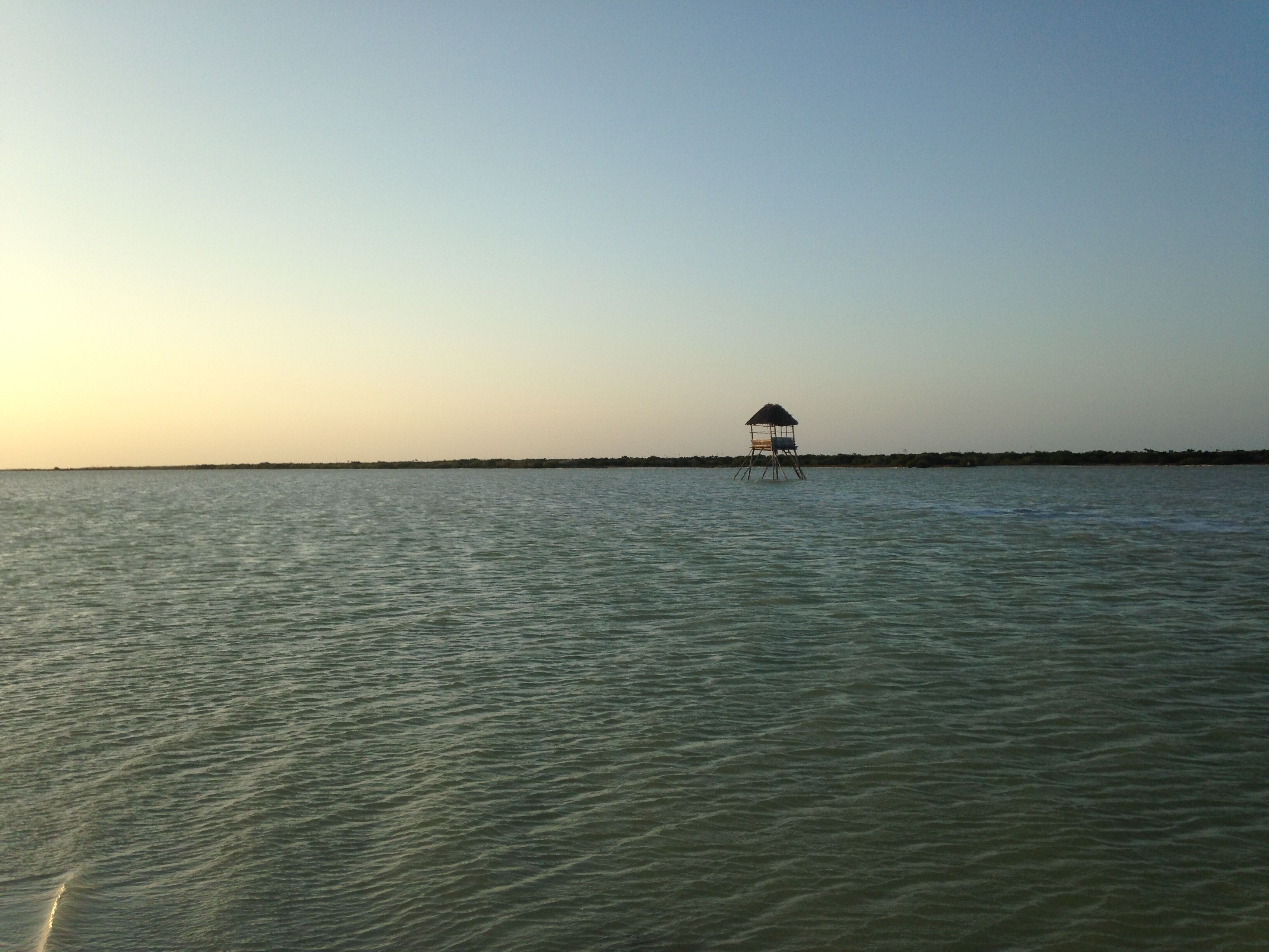 Ubicación a pie de playa, tumbonas y toallas de playa