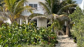 Uma trilha arenosa que leva a um edifício branco com teto plano, cercado por vegetação exuberante e palmeiras.