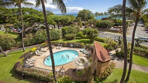 A pool area with a circular pool, lounge chairs, and palm trees.