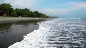 A beach with a sandy shore, waves, and a line of trees.