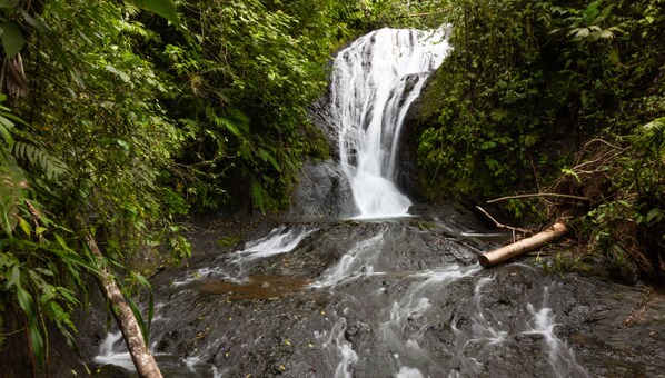 المنطقة المحيطة بالمنشأة