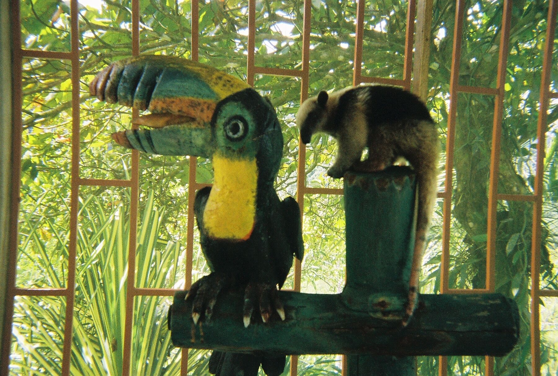 Two toucans perched on a wooden beam inside a cage with a green leafy background.