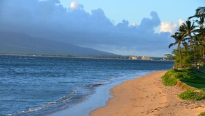 A beach with a sandy shore, palm trees, and a distant view of buildings across the water. - Maui Sunset B201: Beautiful 2 Bedroom, 2 Bath, Kihei Condo. Sleeps up to Six (Kihei)
