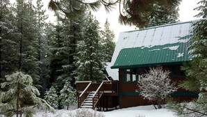 A cabin with a green roof surrounded by snow-covered trees.