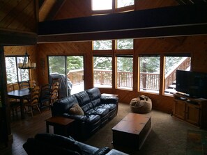 TV, fireplace, DVD player, books