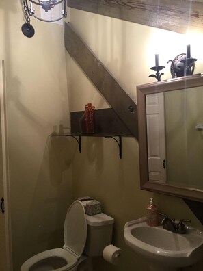 Combined shower/tub, hair dryer, towels, toilet paper