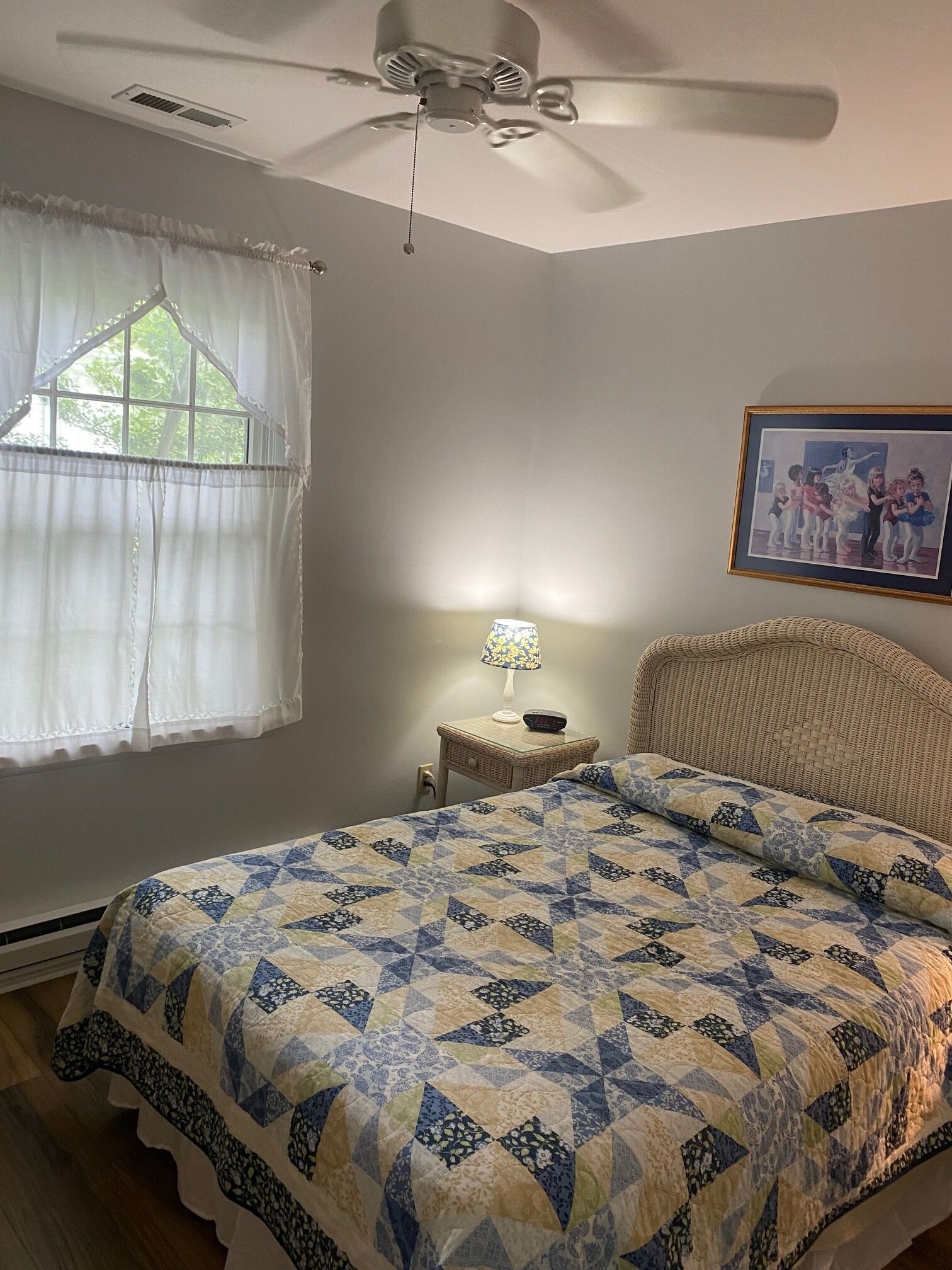 A bedroom with a bed, a ceiling fan, a window with curtains, a nightstand with a lamp, and a framed picture on the wall.