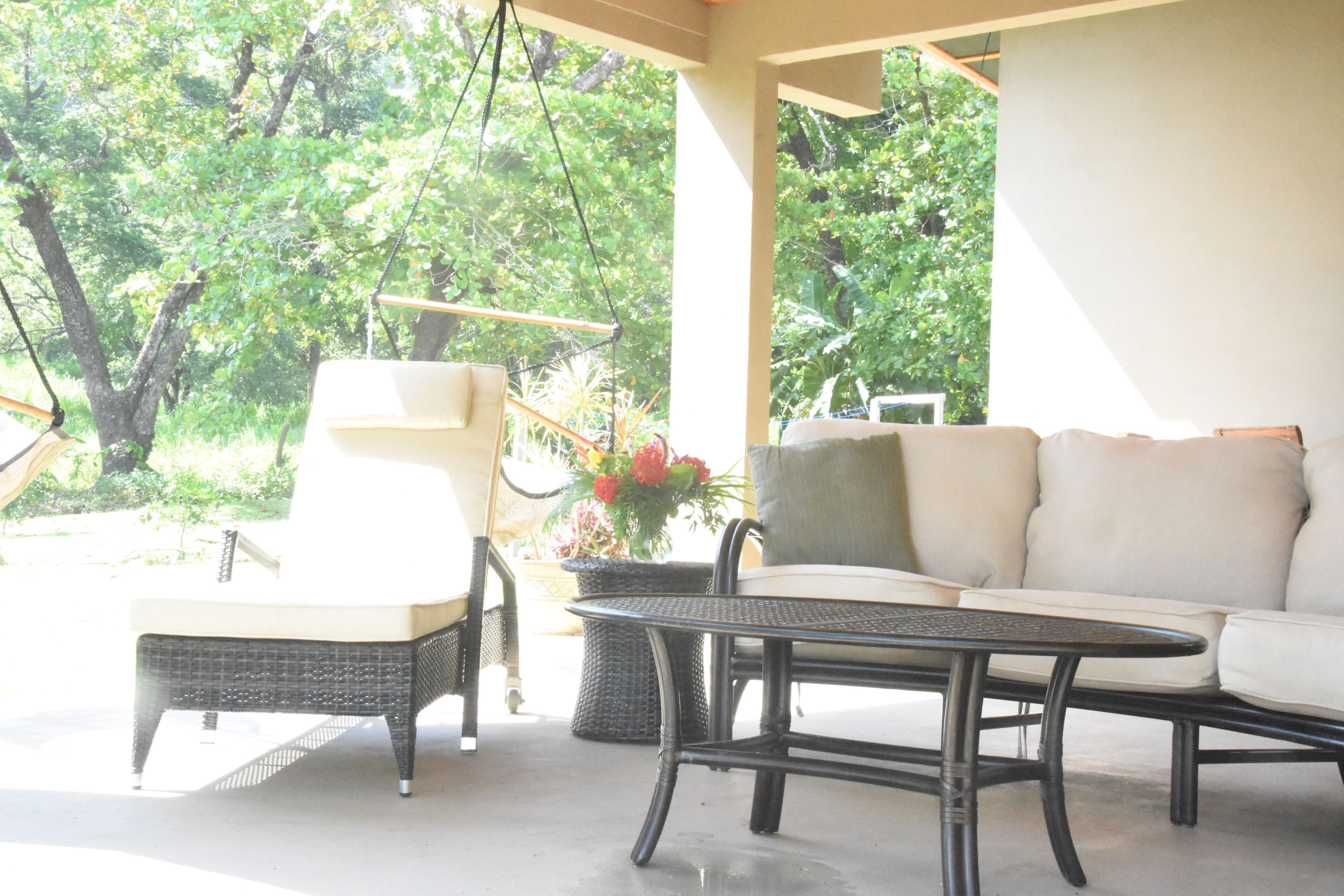 テラス / パティオ