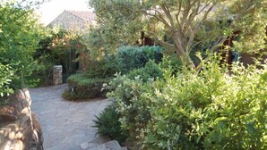 Ein gepflasterter Weg schlängelt sich durch einen üppigen Garten mit verschiedenen Sträuchern und Bäumen.
