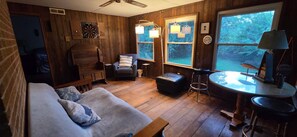 Smart TV, fireplace, DVD player, books