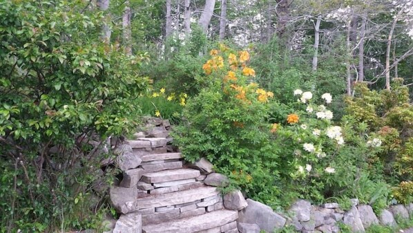 Property grounds - Magical and Unique Water views 10 min to Downtown (Rockingham)