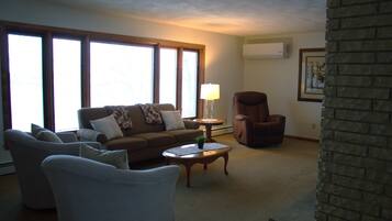 TV connectée, cheminée, lecteur de DVD