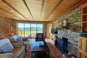 TV, fireplace, books