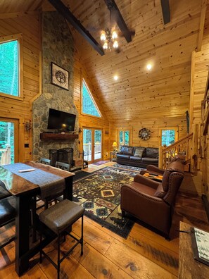 Älytelevisio, takka, videopelejä, kirjoja