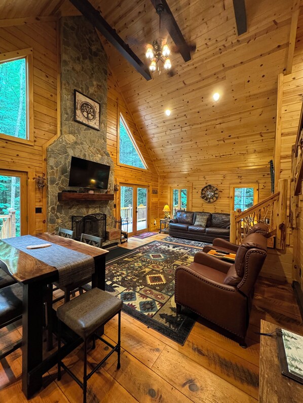 Smart TV, fireplace, video games, books