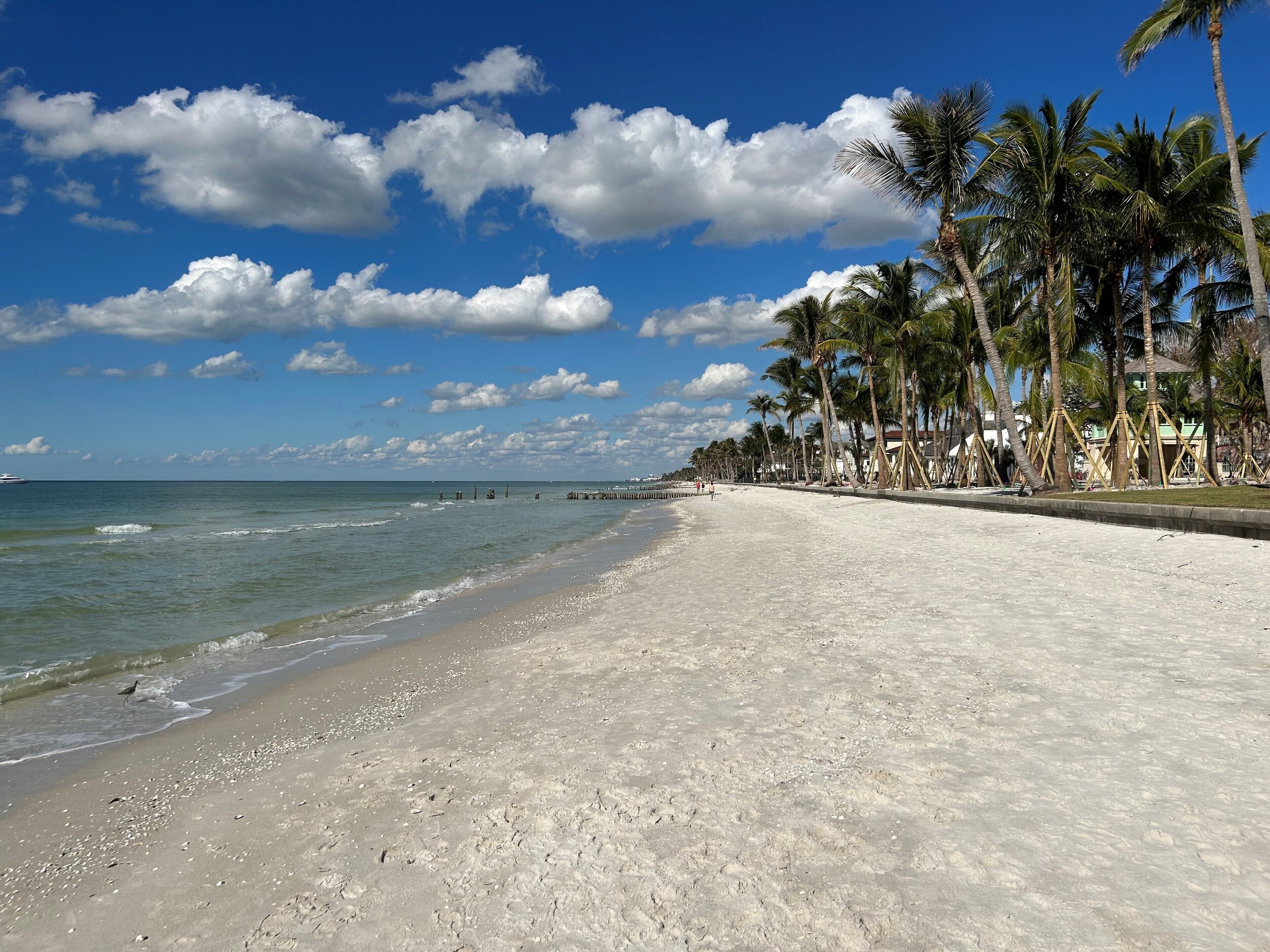 Ligstoelen aan het strand, strandlakens